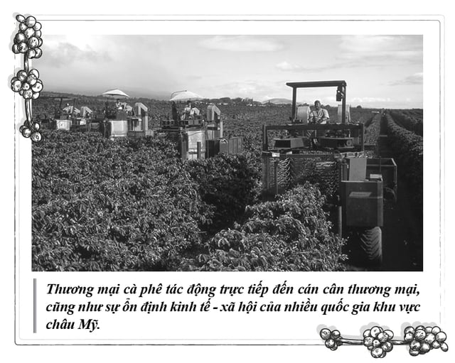  - Ảnh 3.