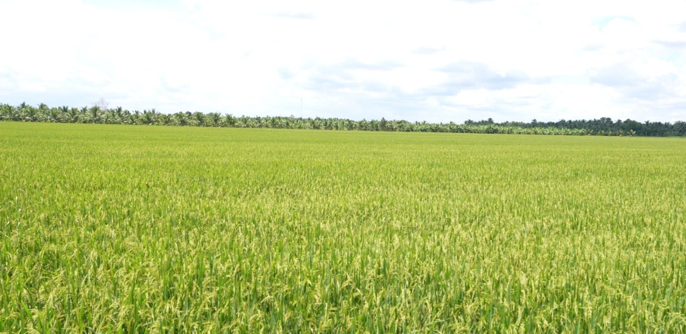 Tehnologie Agricolă-1.jpg