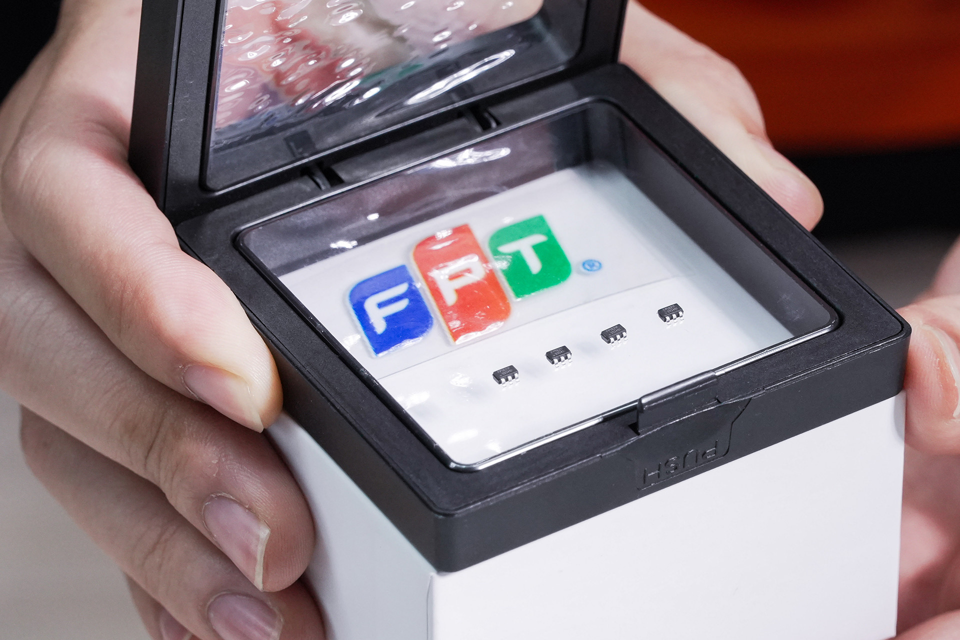FPT Chip .jpg