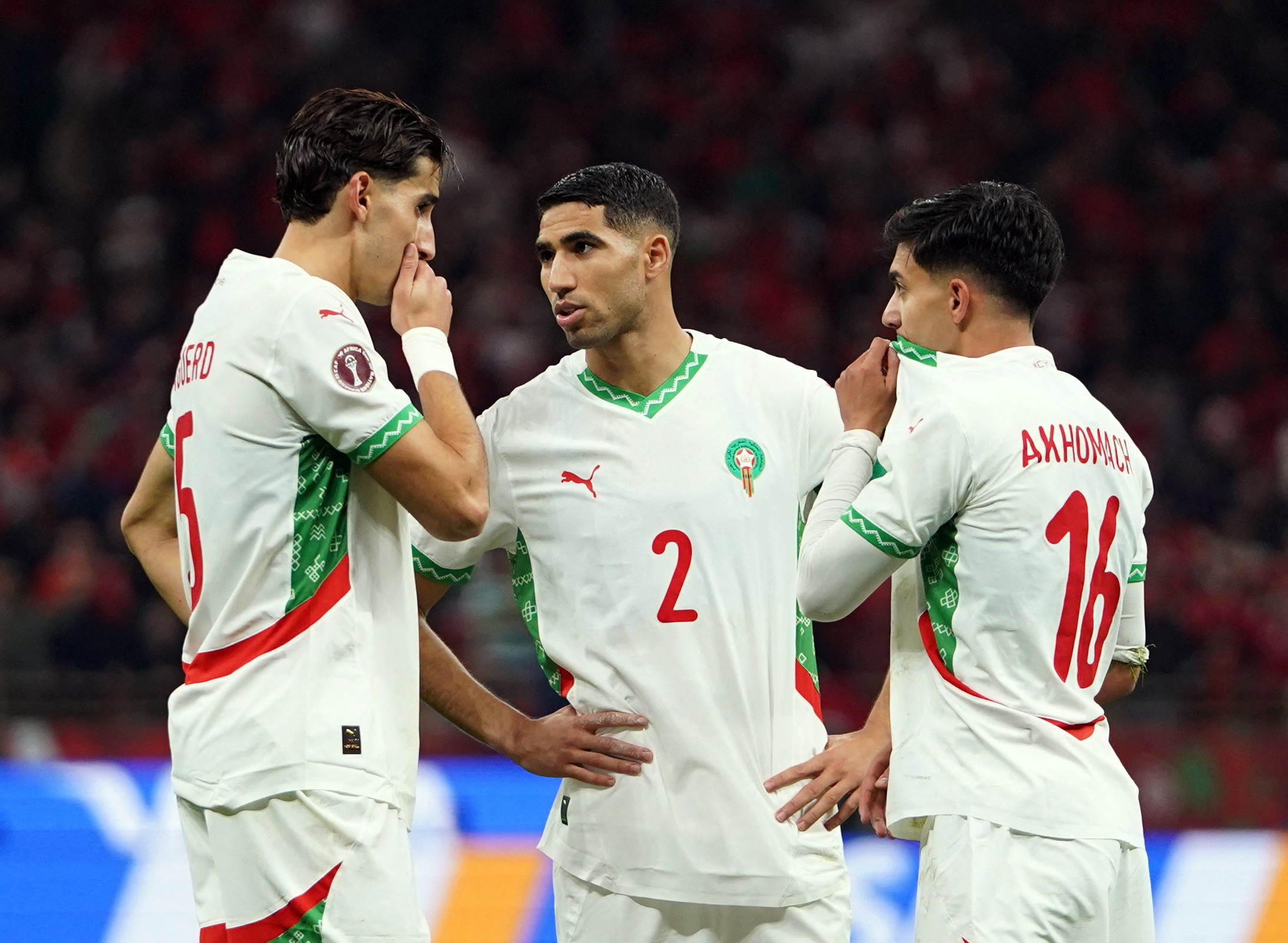 Haaland ảnh 10 Haaland anh 10