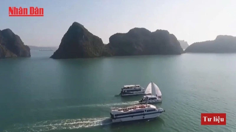 Quang Ninh promueve el ecoturismo en zonas costeras e insulares. – Vietnam.vn