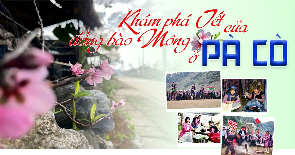 베트남 지역 설날 축제 관련 이미지