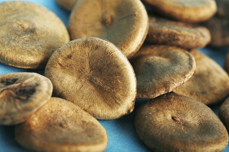 What are the uses of Strychnos nux-vomica seeds? - Image 1.