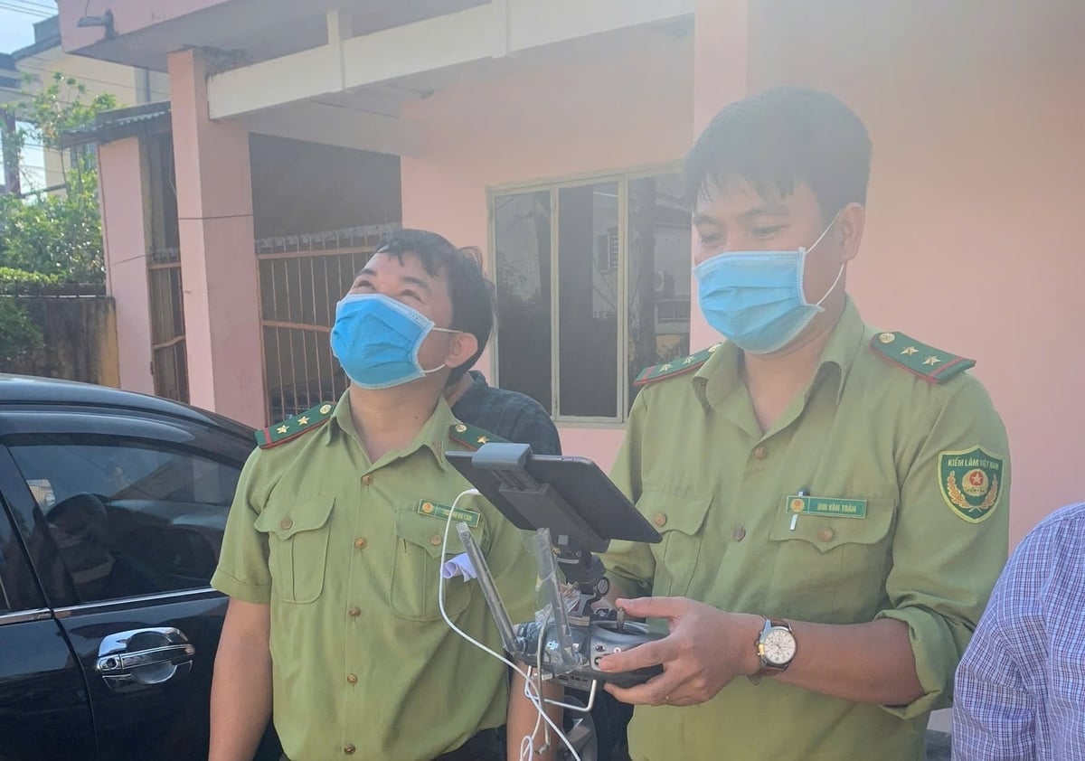 Lực lượng kiểm lâm Đà Nẵng sử dụng thiết bị bay không người lái để kiểm tra hiện trạng rừng. Ảnh: L.A.