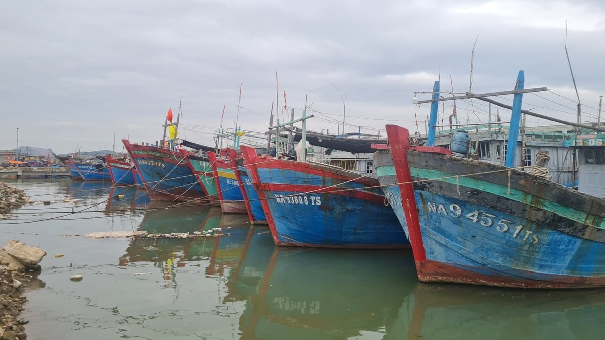 Cảng cá bồi lấp nghiêm trọng là thực trạng chung trên địa bàn Nghệ An. Ảnh: Việt Khánh.
