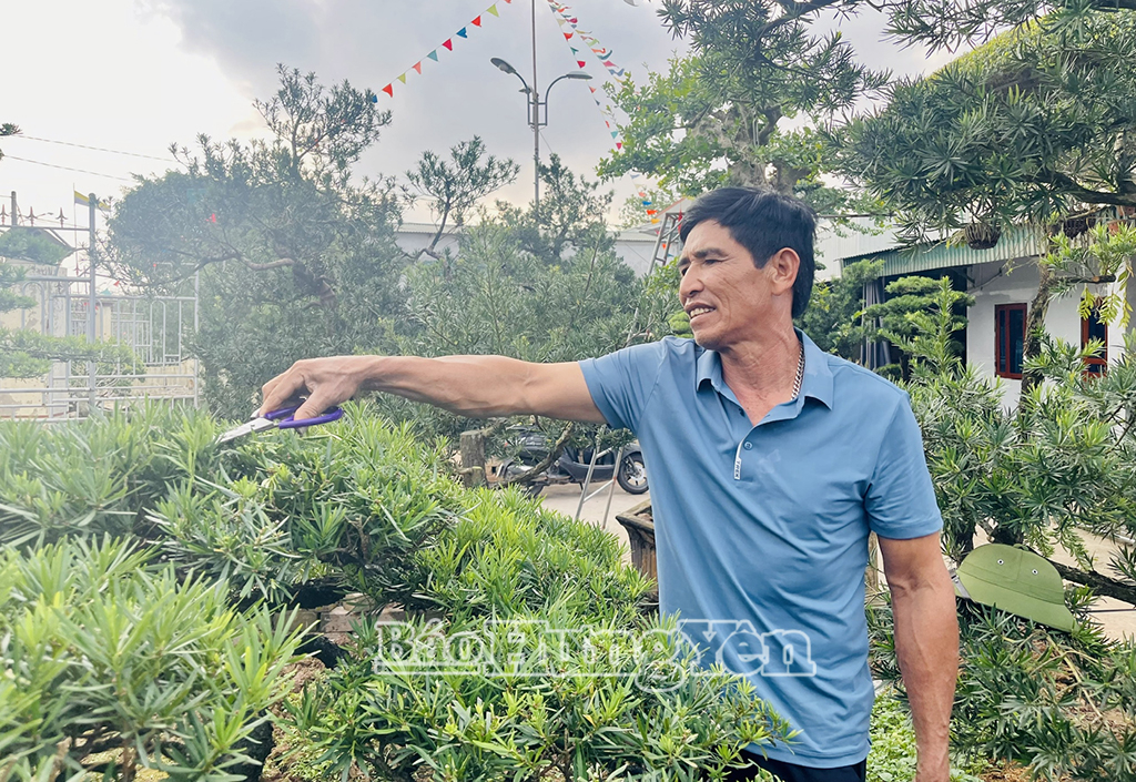 Locuitorii din comuna Tan Thuan se ocupă activ de plante ornamentale pentru a aproviziona piața de sfârșit de an.