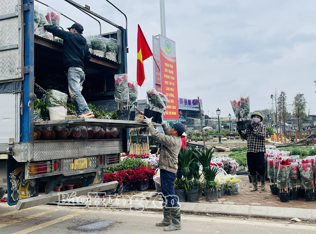 Aceste vehicule transportă flori și plante ornamentale din comuna Phung Cong pentru a fi vândute.