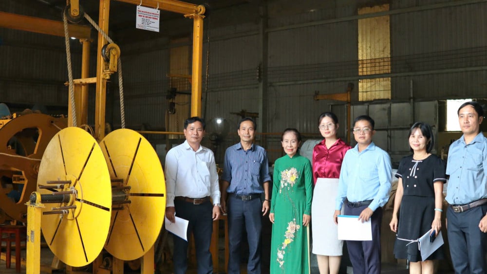 Apoyo a la aplicación de máquinas de hilar en la producción de cuerdas.