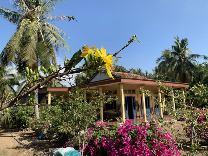 Ngôi nhà - Ảnh 1.